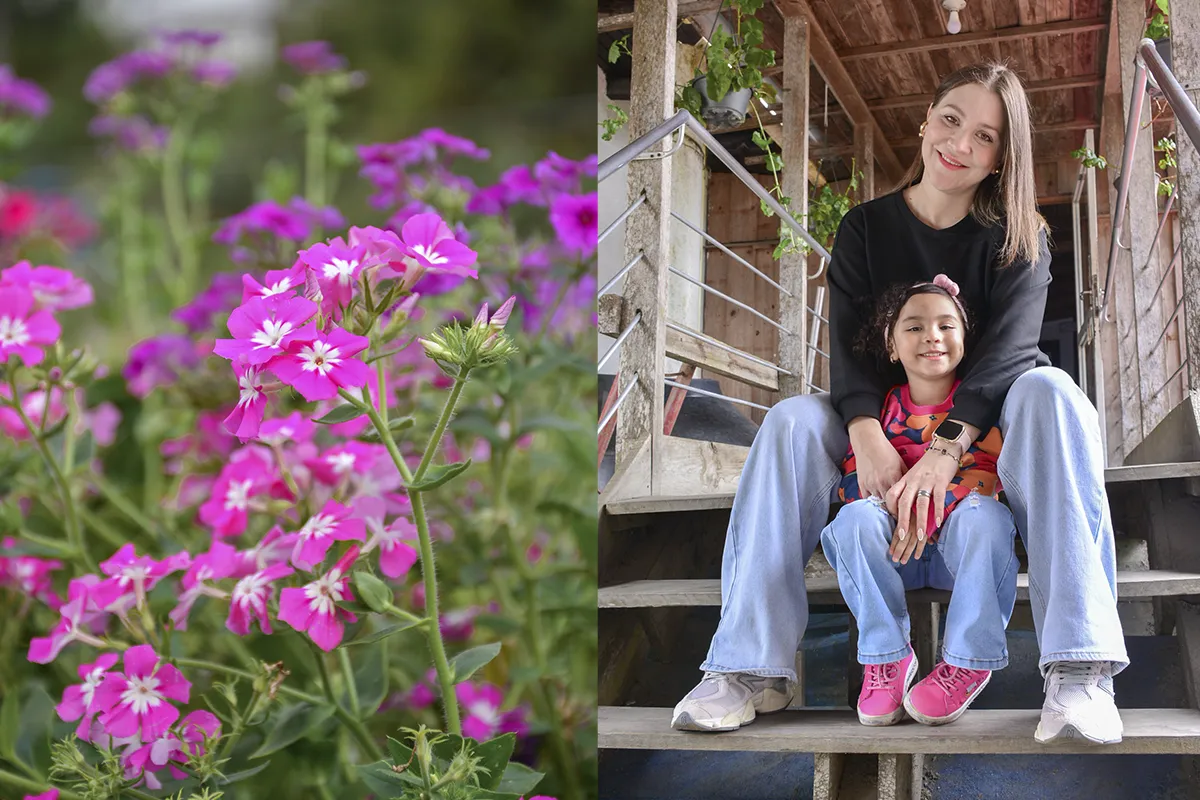 Paisaje de la Colonia Tovar - Inspiración 1