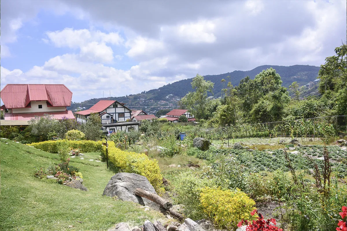 Detalles de diseño en Colonia Tovar - Inspiración 2