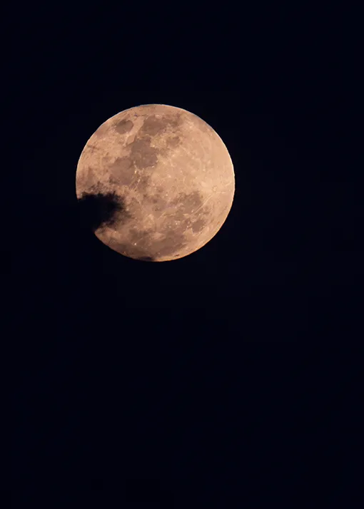 Fuerza del satélite